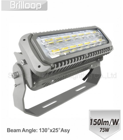 M17: 75W Modular Floodlight